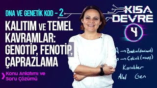 8 Sınıf Fen Bilimleri DNA ve Genetik Kod –2 Kalıtım Genotip Fenotip  Lightboard ile Ders 4 [upl. by Elyak346]