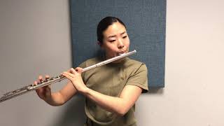 Muramatsu AD Flute Demo [upl. by Klatt]