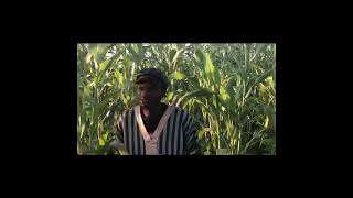 GROWTHAGRIC BY SAMSOM AYOMIDE [upl. by Lea411]