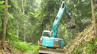 Track clearing on the Glenreagh to Dorrigo Branch Line 4 [upl. by Niwrehs]