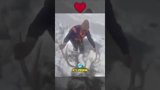 Soldier Rescue Life of Frozen Deer 😱 [upl. by Orit]