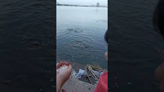 Its fish feeding folk telugu tamil cutebaby boringdaywithnothingtodo time [upl. by Undine]