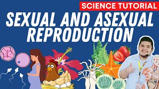 Sexual And Asexual Reproduction  Science 7 Quarter 2 Module 4 Week 5 [upl. by Ilarrold]