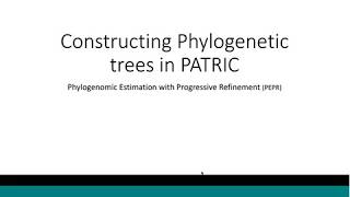 PATRIC Phylogenetic Tree Webinar 2017 11 30 [upl. by Newman]