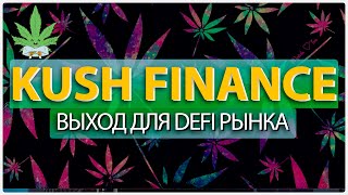 🌱 Kush Finance  проект облегчающий принятие DeFi Обзор [upl. by Anirbas513]