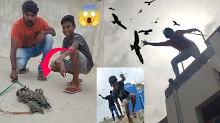 Udta Eagle Pakar Liya😱Ninja Technique Kam Kar Gai🥳  How To Catch Eagle [upl. by Len]