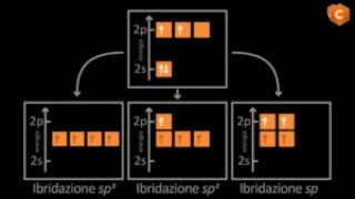 Ibridazione del Carbonio [upl. by Ellenoj]