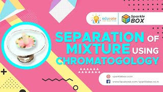 Separation of a mixture using Chromatography [upl. by Warner]