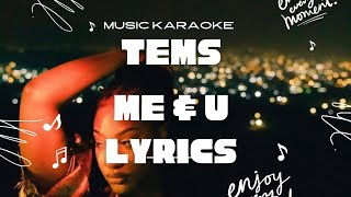 Tems  Me amp You  karaoke instrumental lyrics and beats [upl. by Eanil184]