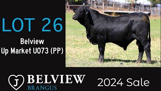 Lot 26 Belview Up Market U073 PP ET [upl. by Ecinwahs]