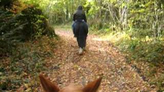 Horseback at Ashford Castle Ireland [upl. by Nolrah]