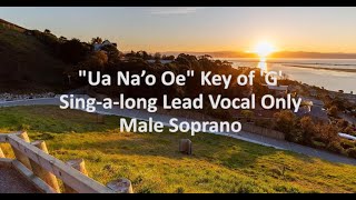 quotFelise Mikaelequot  Ua Na’o Oe Karaoke Backing Track [upl. by Charissa]