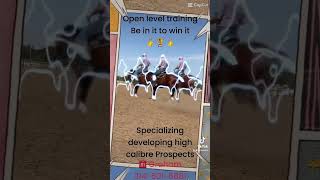 Reining Training reining horse [upl. by Viguerie]