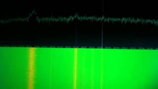 Brazil pirates on SATCOM 255 MHz [upl. by Drawd]