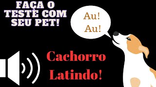 Cachorros latindo top 7 sons  Teste com o seu pet [upl. by Portugal]