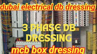 How To Make 3 Phase Electric DBTHREE FACE DISTRIBUTION PANEL BOXRCCB AND MCB INSTALATION [upl. by Bathsheb162]