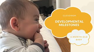 6MonthOld Baby Developmental Milestones  CloudMom [upl. by Tarrance]