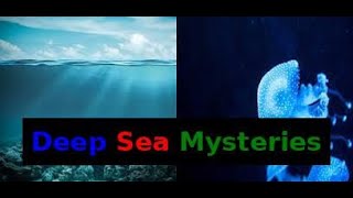 quotDeep Sea Mysteries Oxygen Facts amp ClarionClipperton Zonequot [upl. by Ahtibat]