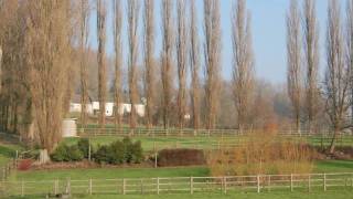 Video natuur Vlaamse Ardennen  Oudenaarde [upl. by Epifano902]