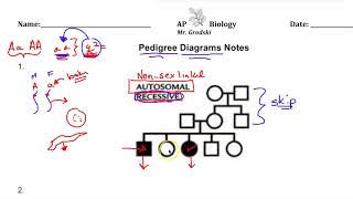 AP Biology Pedigree Diagram Lecture [upl. by Minetta]