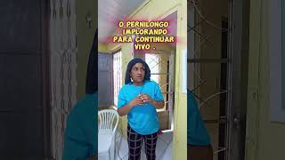 O Pernilongo implorando pra ficar vivo comedy comedia memecomedia [upl. by Varick]