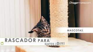 RASCADORES caseros para GATOS 🐈 3 ideas para hacerlos vosotros mismos 👦🏼👧🏼 Hogarmania [upl. by Olva461]