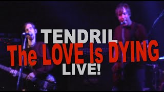 TENDRIL  The Love Is Dying  LIVE [upl. by Litt147]