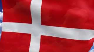 Danish Birthday Song My Version [upl. by Noell]