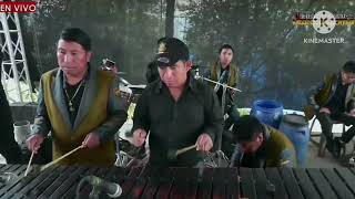 Los Mejores Barreños  Marimba Orquesta Indiana [upl. by Anirbed373]