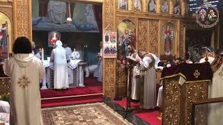 Divine Liturgie du Dimanche  03112024 [upl. by Eusadnilem]