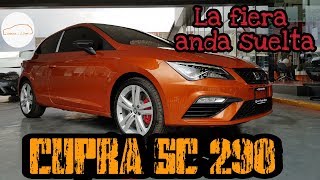 Una especie que veras muy poco en México SEAT CUPRA SC 290HP NARANJA ECLIPSE [upl. by Carma]