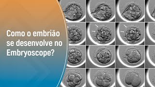 CONHEÇA A TECNOLOGIA TIMELAPSE DO EMBRYOSCOPE® PLUS  GENESIS BRASILIA [upl. by Eojyllib]