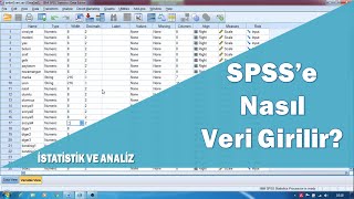 SPSS veri girişi SPSS anket verisi girişi [upl. by Ivatts]