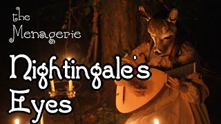 Nightingales Eyes  Dragon Age   The Menagerie [upl. by Naleag]