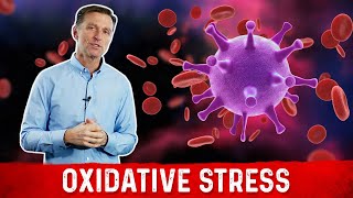 Oxidative Stress Immune System and Viral Infection [upl. by Vasili]