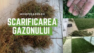 Scarificarea gazonului  cum scarificam gazonul  wwwsemintegazonro [upl. by Arev]