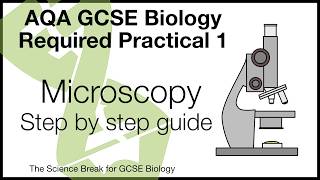 AQA Biology Practical 1 Microscopy Walkthrough  Full Method  Exam Help [upl. by Sotnas655]