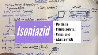 Isoniazid  Mechanism Pharmacokinetics Clinical Uses Adverse Effects UrduHindi [upl. by Atnoid]