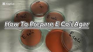 PREPARATION OF ESCHERICHIA COLI  Ecoli AGAR [upl. by Giulio]