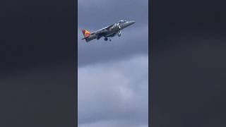 SPECTACULAR Hovering harrier from the spanish Navy Air Force aviation fighterjet avgeek shorts [upl. by Asinet]