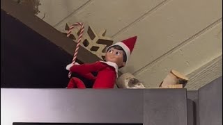 Elf on the Shelf Part 1 [upl. by Melena]