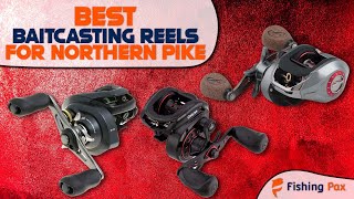 Best Baitcasting Reels For Northern Pike [upl. by Goodson]