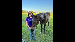 Bluebonnet Equine Humane Society  Janets Adoption Story [upl. by Arand530]