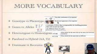 Genetics Vocabulary Tutorial [upl. by Ailemap]