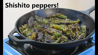 Shishito peppers recipe Blistered charred delicious [upl. by Sheets45]