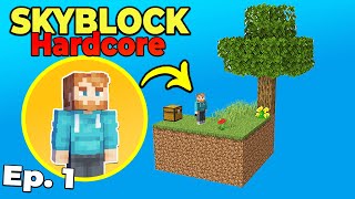 I Tried Minecraft Skyblock but its HARDCORE Survival 1 [upl. by Albion]