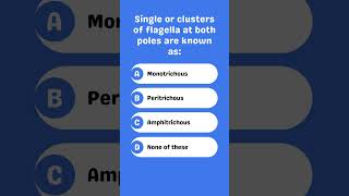 Single or clusters of flagella at both poles are known as [upl. by Ppilihp]