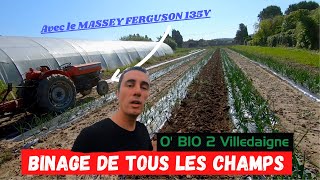 BINAGE Je passe dans toutes les parcelles avec le MASSEY 135v [upl. by Lark624]