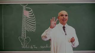 COURS ANATOMIE 4 Fin Muscles du Thorax  Muscles du Dos  Diaphragme Partie 1 [upl. by Narik]