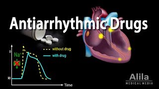 Antiarrhythmic Drugs Animation [upl. by Johna813]